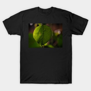 Green Leaf on a Bokeh Background Poster T-Shirt